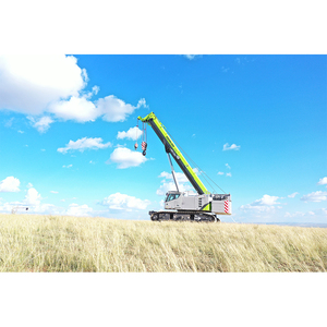 Sıcak satış zoomlion 30ton ZCT300V532 mini teleskopik paletli vinç