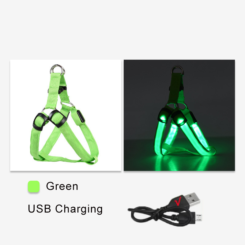 Chargement USB vert