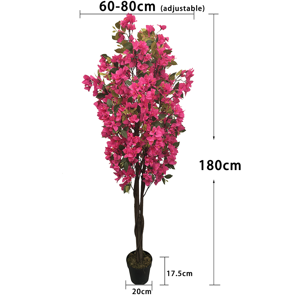 Rose-180cm