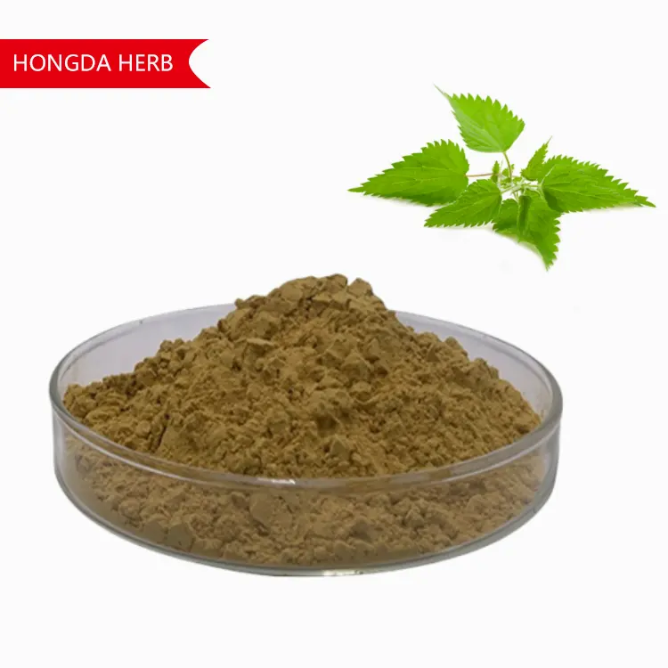 Hot Selling Organic Nettle Root Extract Powder 1% Beta Sitosterol Powder