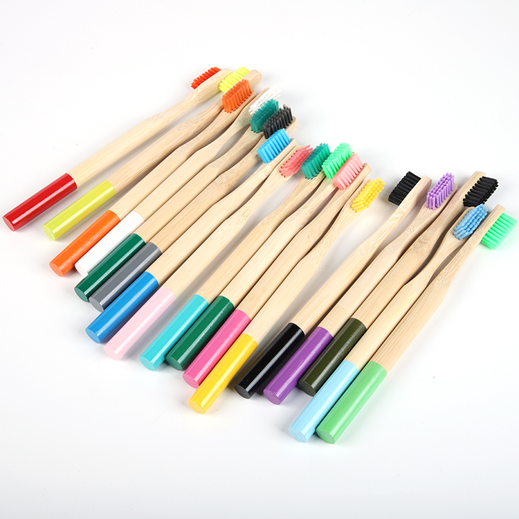 pack individuel multicolore