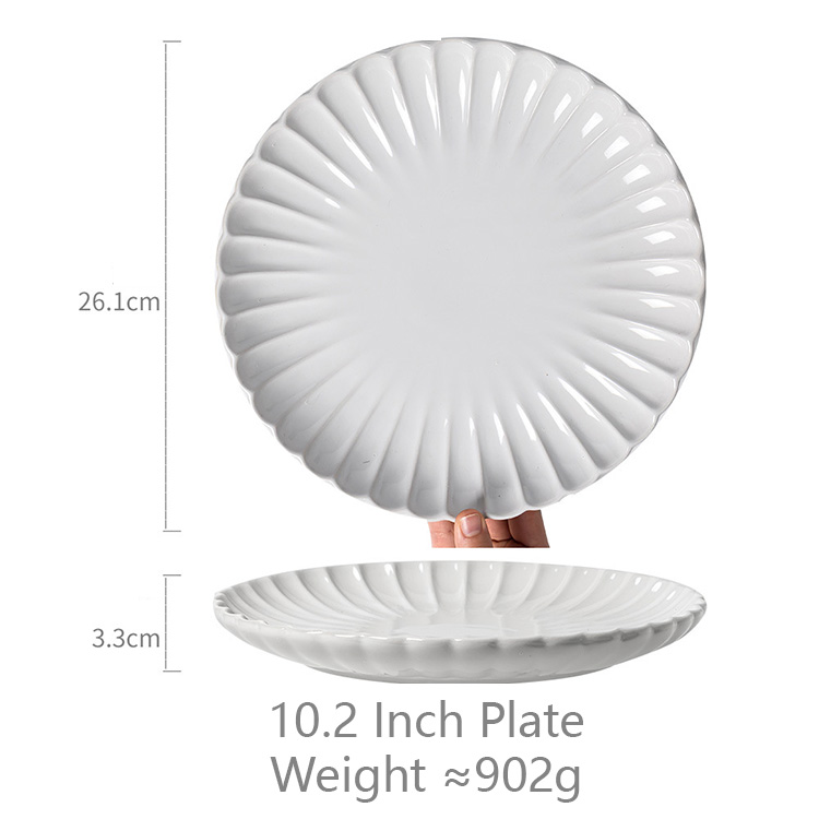 Blanc - Plaque de 10,2 pouces