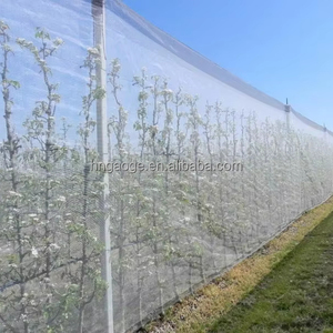 High Quality Polyester UV Fruit Fly Insect Proof <strong>Net</strong> Anti Insect <strong>Net</strong> for Agriculture - Product Image 2