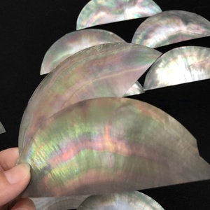Wholesale Black Sea <strong>Shell</strong> Mother of Pearl <strong>Shell</strong> Crafts Mother of Pearl Raw <strong>Shells</strong> for Furniture Musical Instruments - Product Image 3