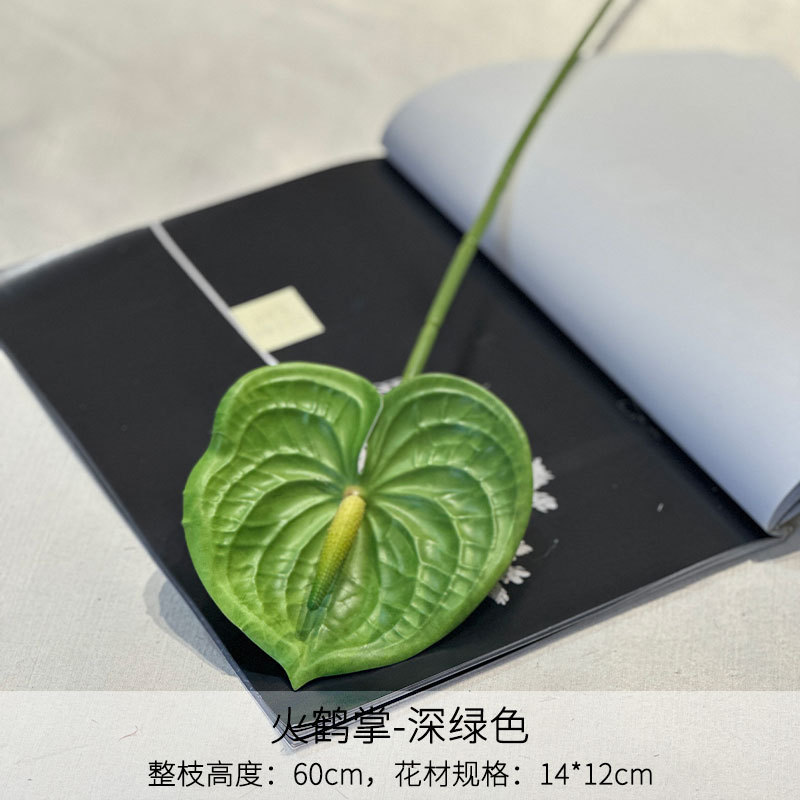 Anthurium vert foncé