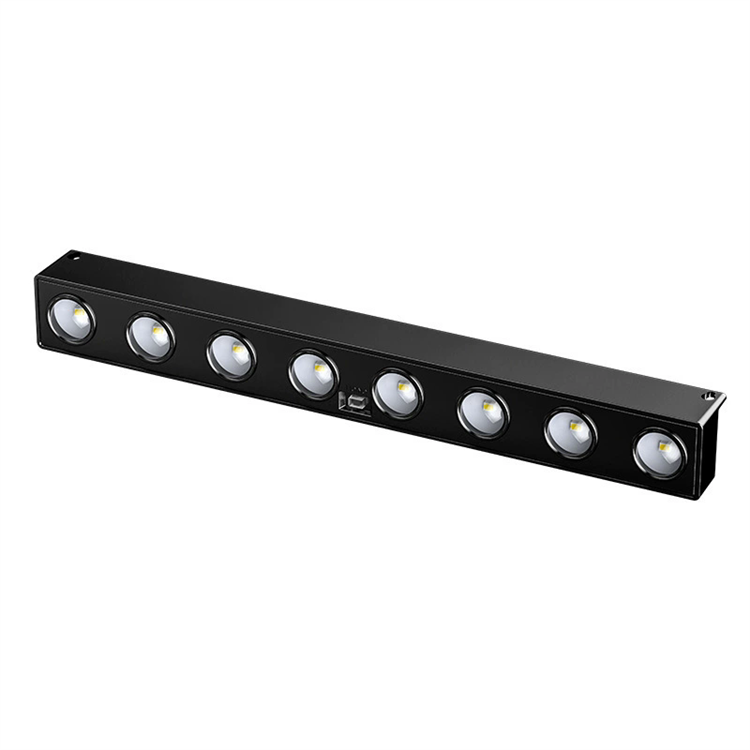 Cold White (8 lights)