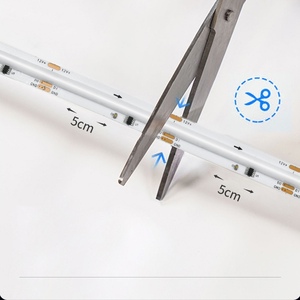 装飾照明12v24vホームLEDストリップライトws2811ws2812bLEDアドレス可能なストリップライトcob - Product Image 3