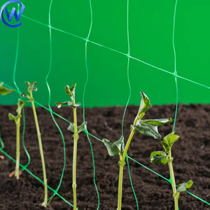 Vegetable <strong>Tomato</strong> Support <strong>Net</strong> Plastic Polypropylene <strong>Trellis</strong> <strong>Netting</strong> for Support Climbing Plants - Product Image 3