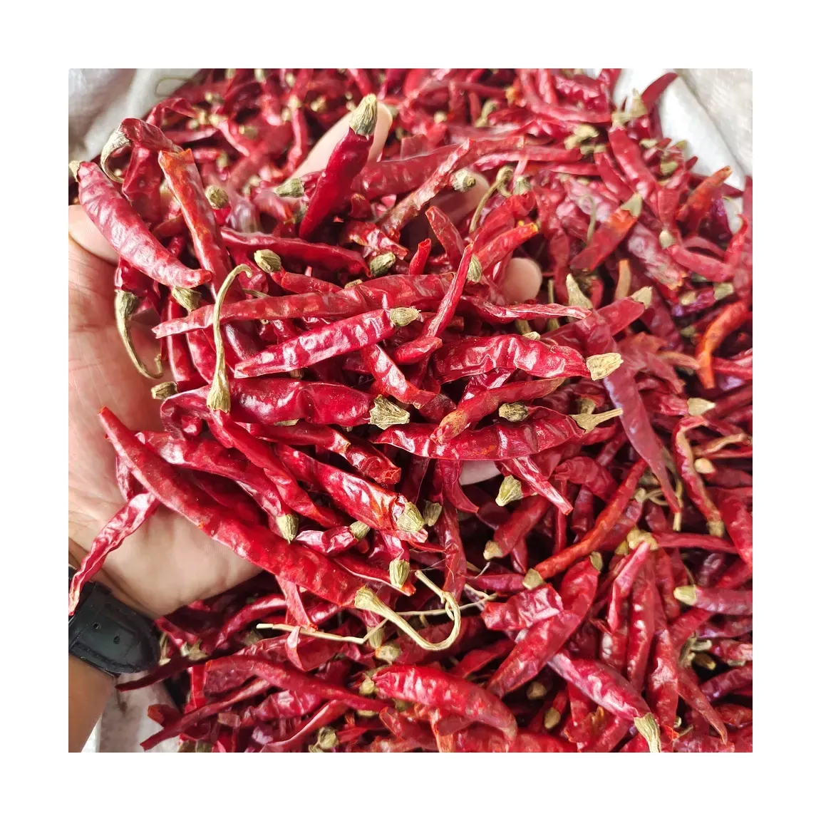 De Chinese Fabriek Zout En Peper Molen Set Chili Voor Het Koken Van Gedroogde Rode Peper Voor Sichuan Voedsel Kruiden