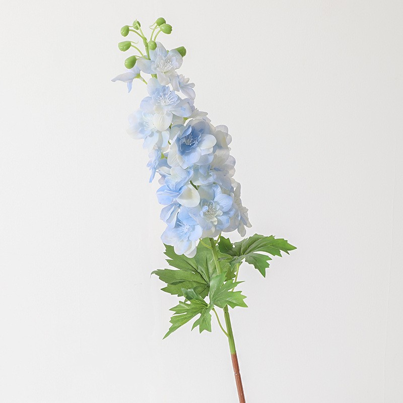 Bleu 2