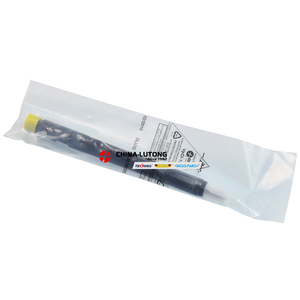 Delphi SSANGYONG 04601D SSANGYONG 02601z EJBR 04601D için yüksek kaliteli Common Rail memesi SSANGYONG REXTON için 2.7 XDI 163 165 - Product Image 1