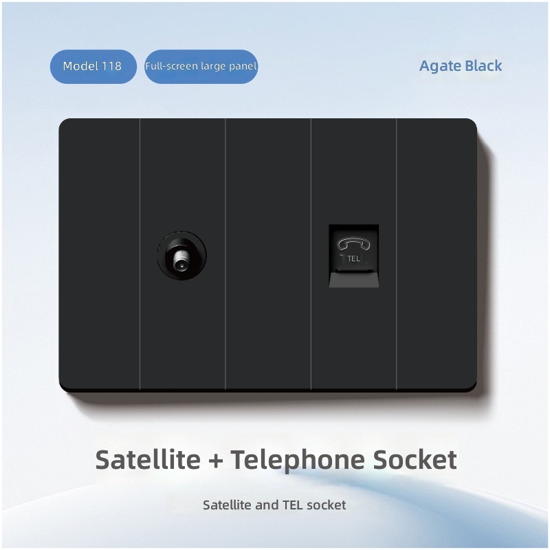 Satellite and TEL socket
