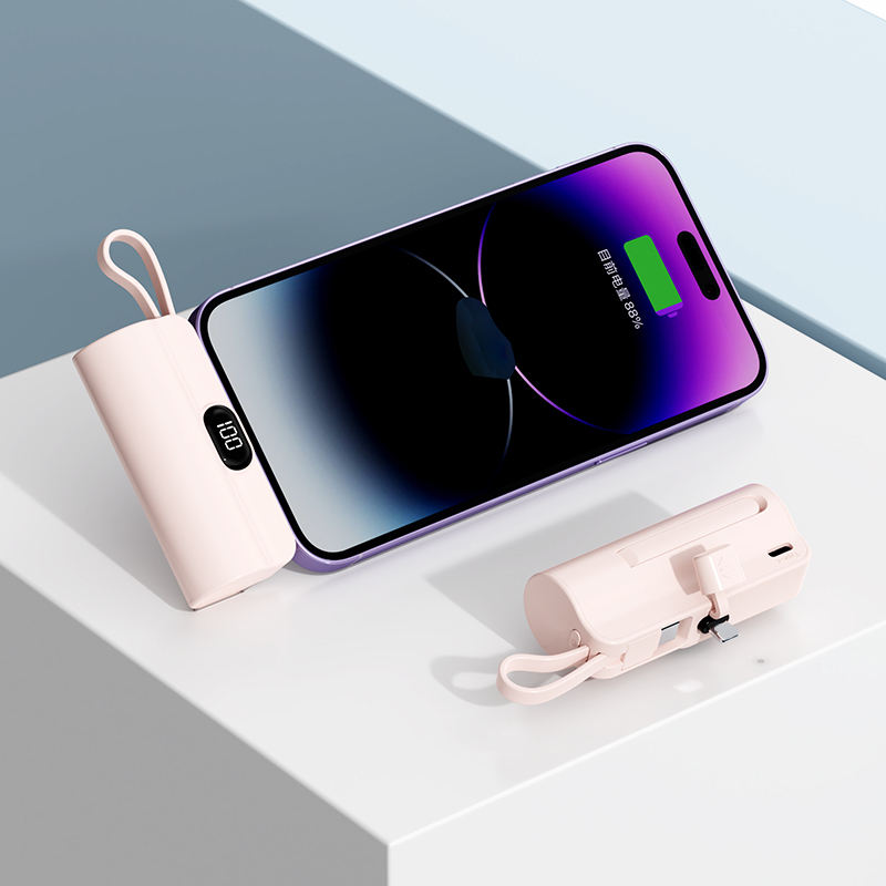 Rose-Port TypeC + Câble IP