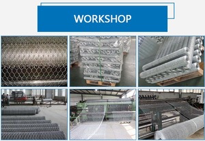 Sechseckiges Draht geflecht dreifach/fünf Drehungen verzinktes PVC-beschichtetes sechseckiges Drahtzaun-Hühnern etz für Hühnerstall - Product Image 6