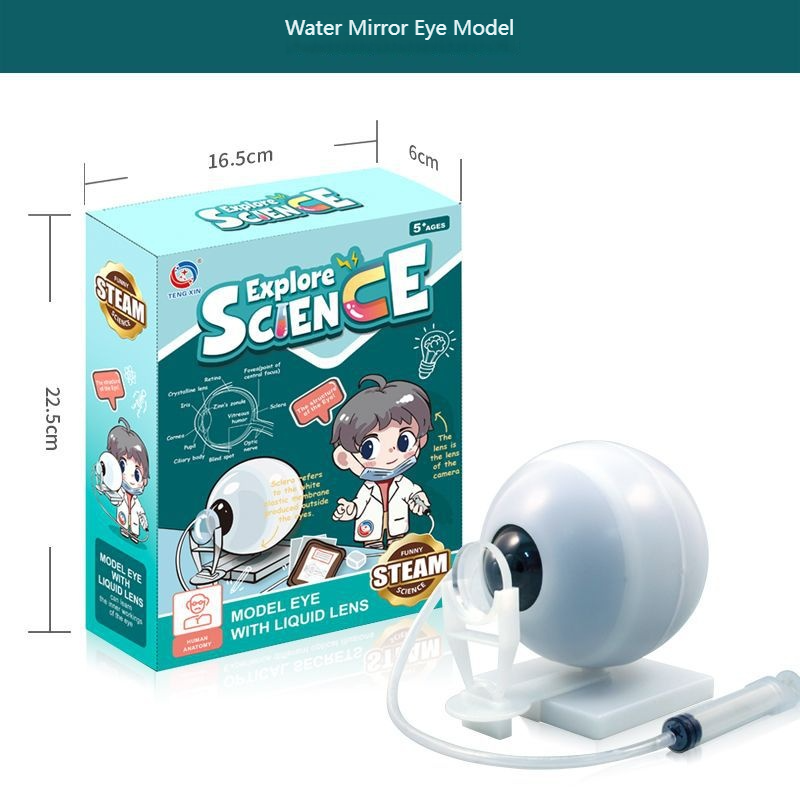 L'eau reflète le globe oculaire