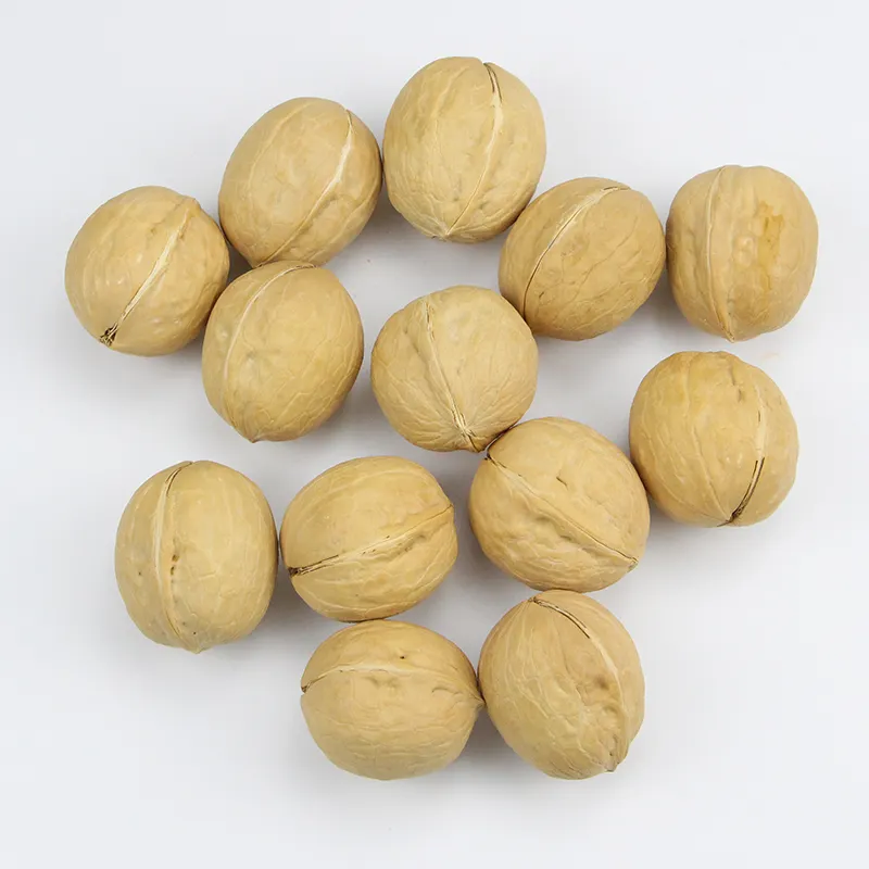 Agolyn Best supplier and factory raw thin skinned raw walnut price