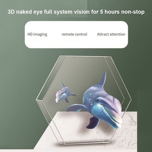 3D holografik ekran LED Fan reklam Hologram projektör 240V Video resim özel düzenleme görüntü ekran - Product Image 5