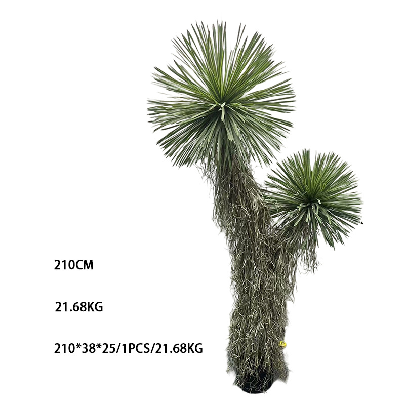 210cm