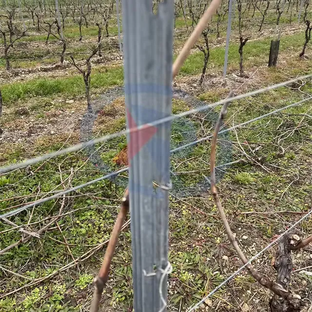 Alto zinco zincato 275g/m2 in acciaio vigneto pali per vigneto in metallo traliccio per vigneto