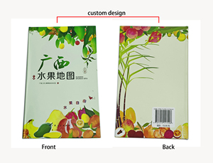 豪华定制书籍印刷传单服务说明手册小册子彩色目录传单水果广告印刷手册 - Product Image 6