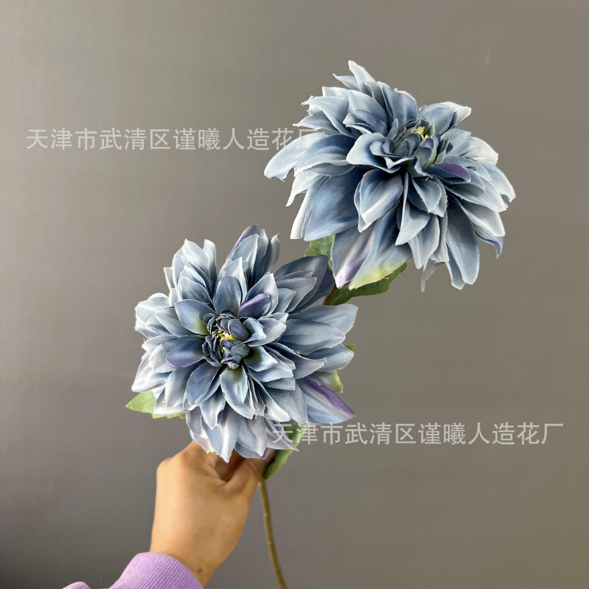 2 dahlias
