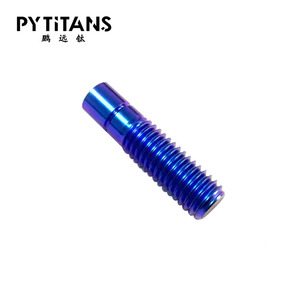 <strong>High</strong> <strong>Quality</strong> Guitar Bass <strong>String</strong> Accessories Gr5 Titanium Studs Support Customization by PYTITANS