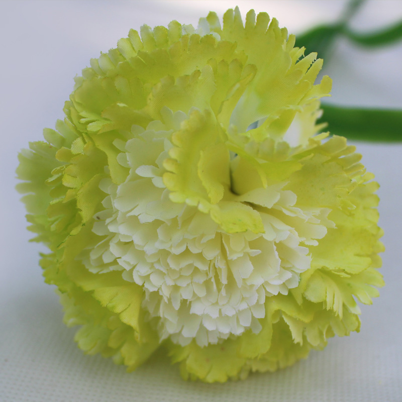 Vert