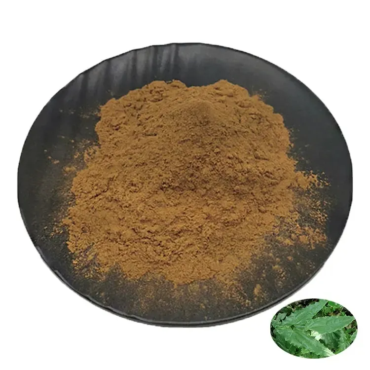 Epimedium Plant Extract Icariin 5% Epimedium Extract Poeder Geile Geit Wiet Extract