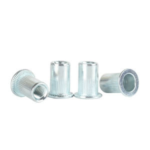 M3 M4 M5 M6 M8 M10 M12 Tête Plate Filetée Zinguée Insert Aveugle Rivnuts Insert Aveugle Insert Rivet Écrous - Product Image 5