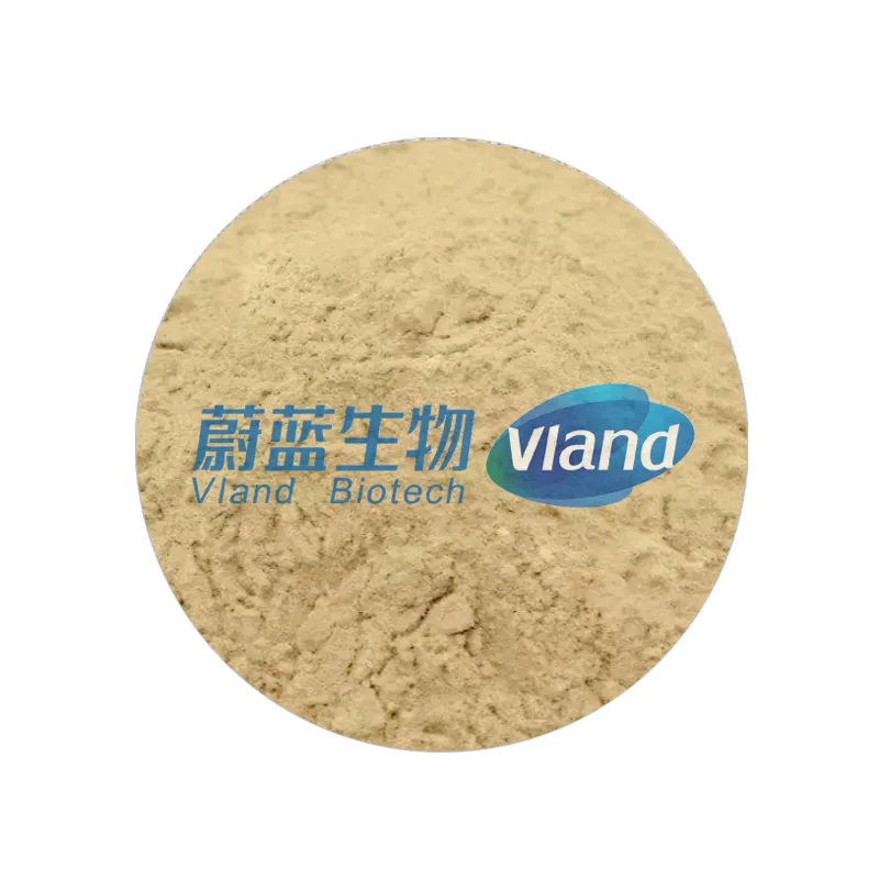 Glucose Oxidase Food Additive 60000 U/g CAS 9001-37-0