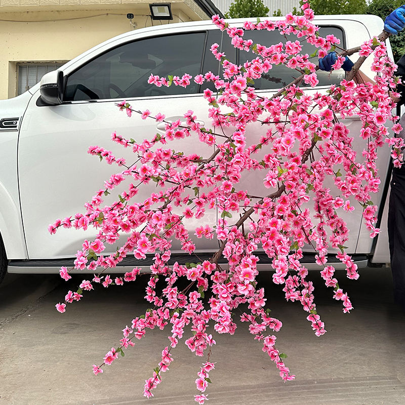 deux mètres carrés d'espace dense de fleurs de cerisier