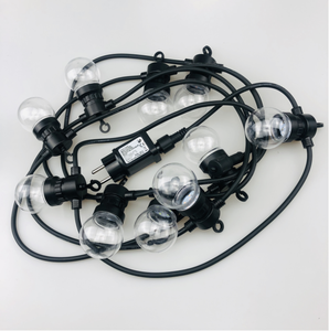24v 6w适配器G50串稳光5M 10个灯泡 (每个灯泡5个SMD 2835)，引线1.5M，户外使用
