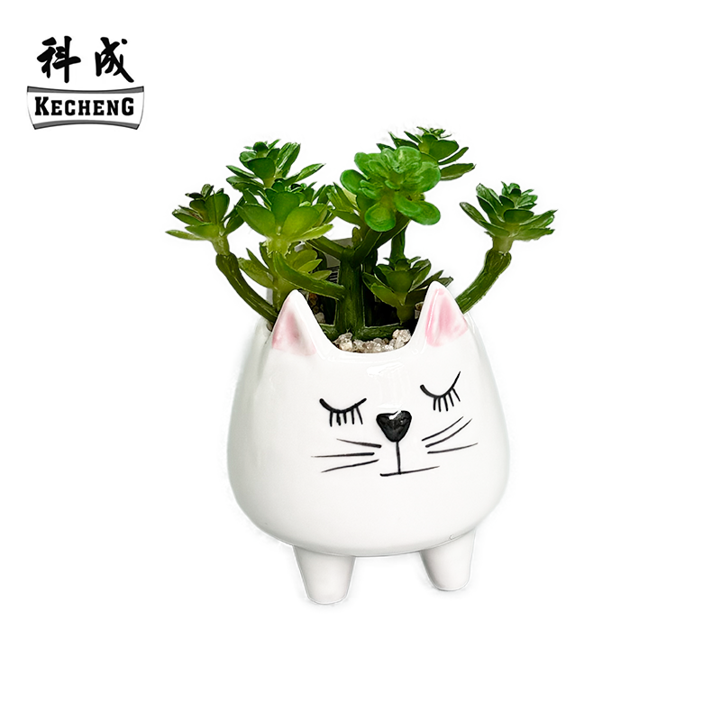 cat (PLANT MIX SIX STYLE)
