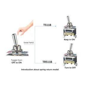 I produttori di interruttori a pulsante forniscono direttamente interruttori a levetta push-pull di alta qualità - Product Image 5