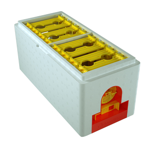 Benefitbee Hộp Tổ Ong Nữ Hoàng Bằng Nhựa Thiết Kế Riêng Hộp Tổ Ong Mini Tổ Ong Xốp - Product Image 6