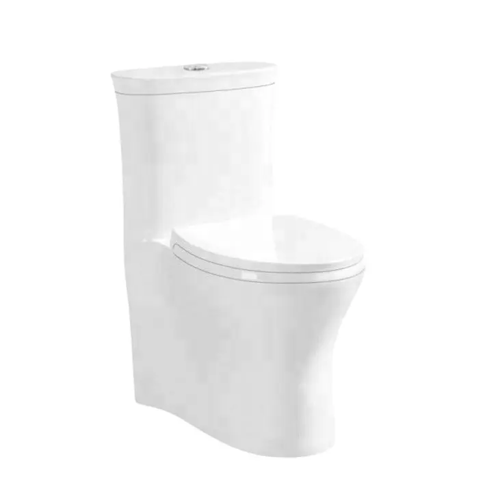 Double siphonic flush vortex flush water jet toilet