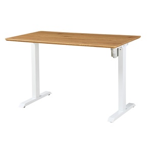 New Gaming <strong>Desk</strong> <strong>Simple</strong> and Generous <strong>Computer</strong> <strong>Desk</strong> Motorized Motors Electric Height Adjustable Sit - Product Image 3