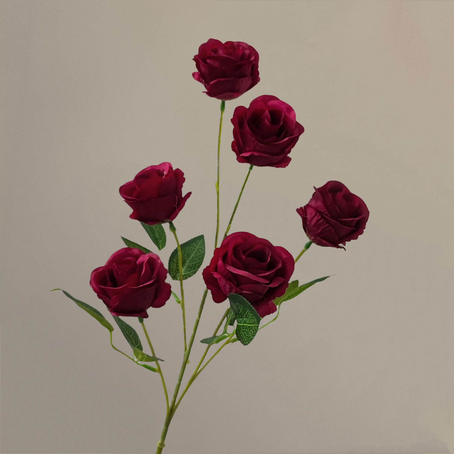 Rouge vin rosé enroulé - 68cm