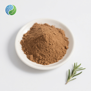 Оптовая продажа 100% чистый пищевой 10:1 экстракт листьев эстрагона порошок 100% натуральный травяной экстракт эстрагона - Product Image 1