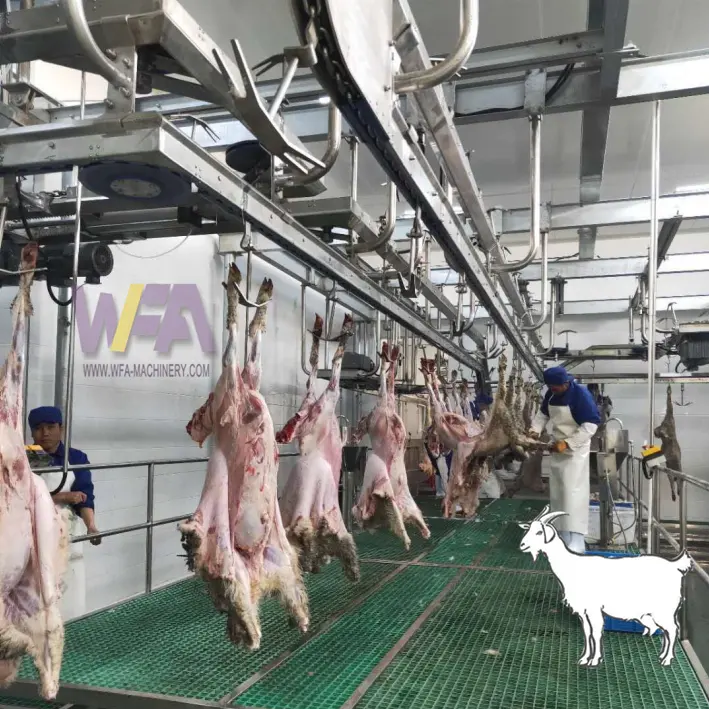 Qingdao WFA Factory Ziegen schlacht verarbeitung linie Ausrüstung für Schaf lamms ch lacht hof