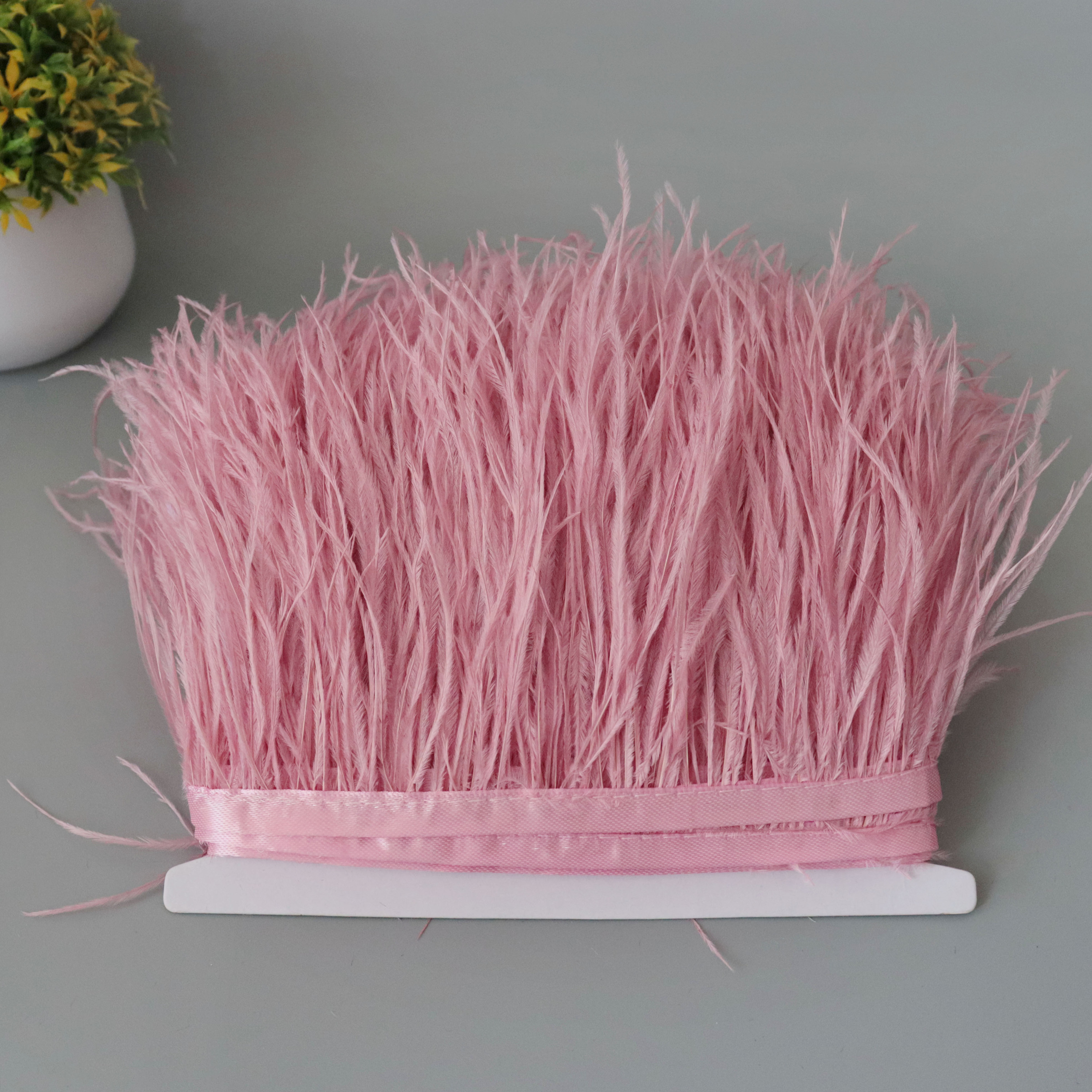 14# Raíz de loto rosa