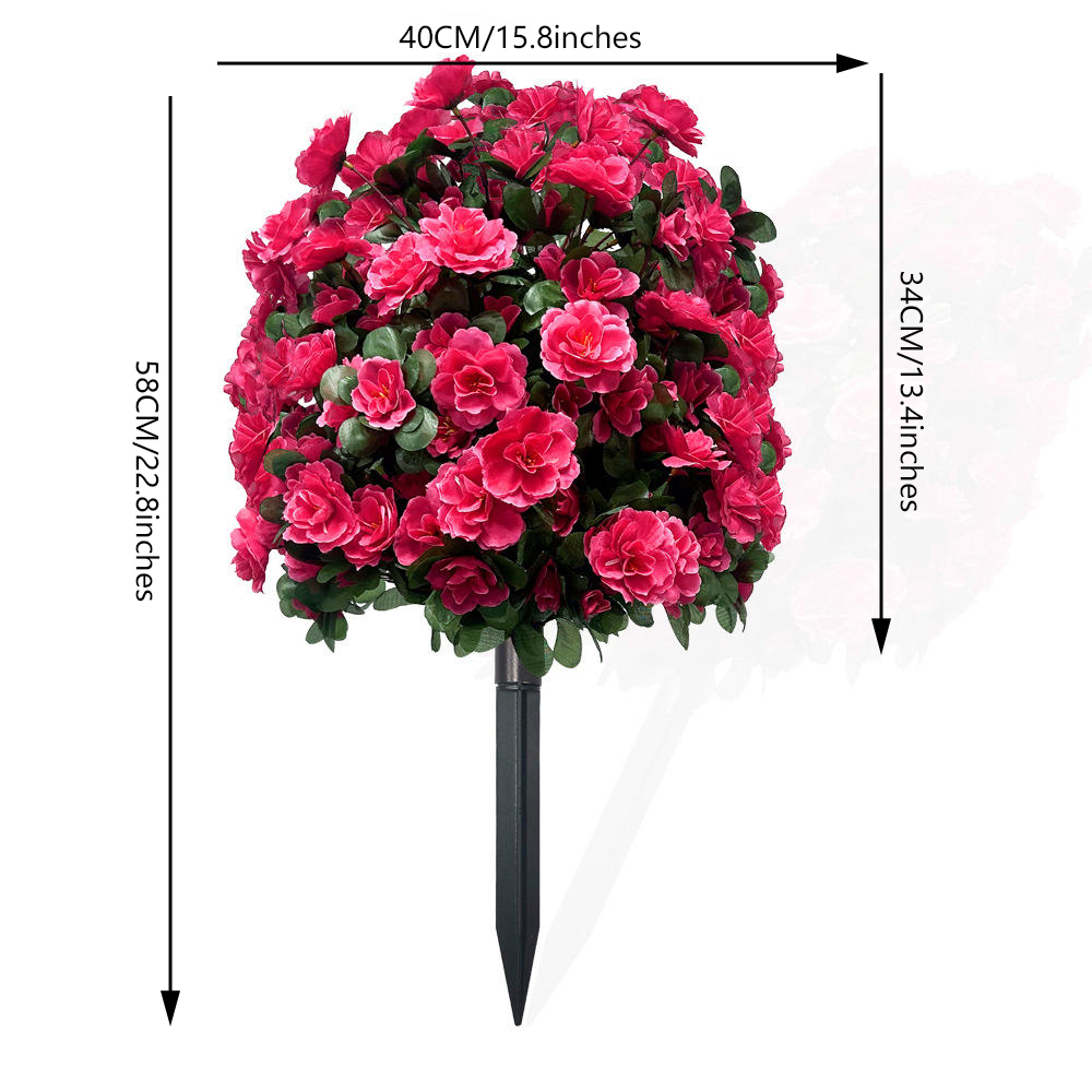 Azalea - Rosa