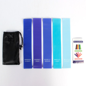 Custom TPE Mini Resistance <strong>Exercise</strong> Bands 5pcs <strong>Elastic</strong> <strong>Loop</strong> Gym Bands in Blue Portable for Yoga Use Packaged in Bags - Product Image 2