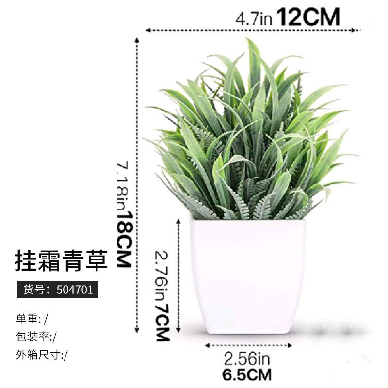 504701 herbe de gel suspendue (à partir de 125 pots)