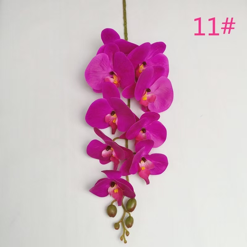 Color 11