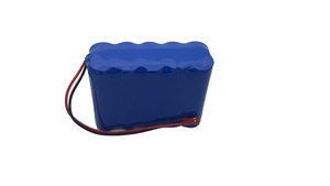 Rechargeable Lithium Ion <strong>Battery</strong> Pack ICR18650 5200mAh 18.5V 5S2P Li Ion <strong>Batteries</strong> Pack Use for Power Electric Boards - Product Image 3