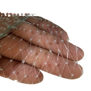 High Quality <strong>Plastic</strong> <strong>Nets</strong> for Pest Control Mesh Screen to Protect Plants - Product Image 5