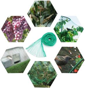 Nylon Anti Pheasant <strong>Net</strong> Anti Bird <strong>Net</strong> Catching Bird <strong>Net</strong> - Product Image 2