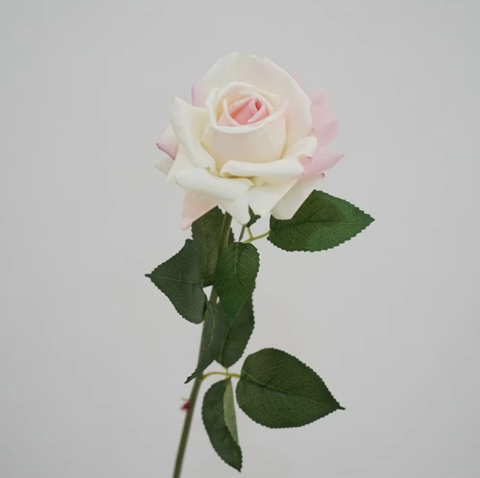 Milk pink