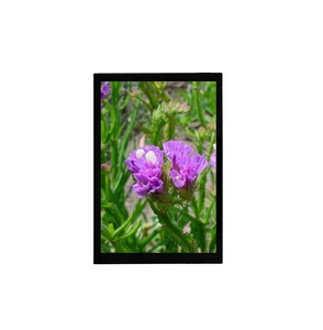 3.5 pollici 240*320 MCU 8/16BIT/SPI TFT modulo Display LCD Touch Screen - Product Image 1